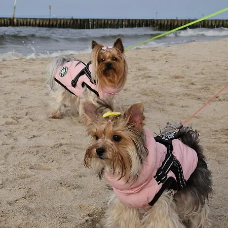 Reymonta Z Widokiem Na Morze Kołobrzeg